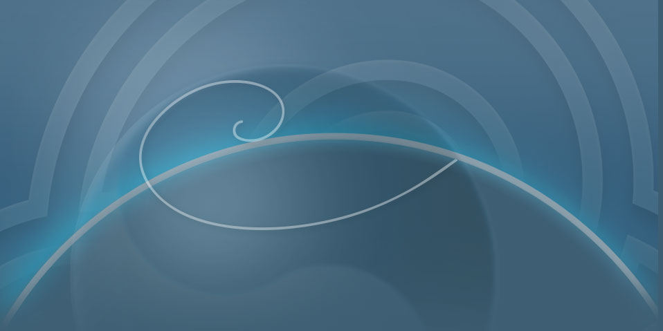 Networks of Wellbeing Ltd logo